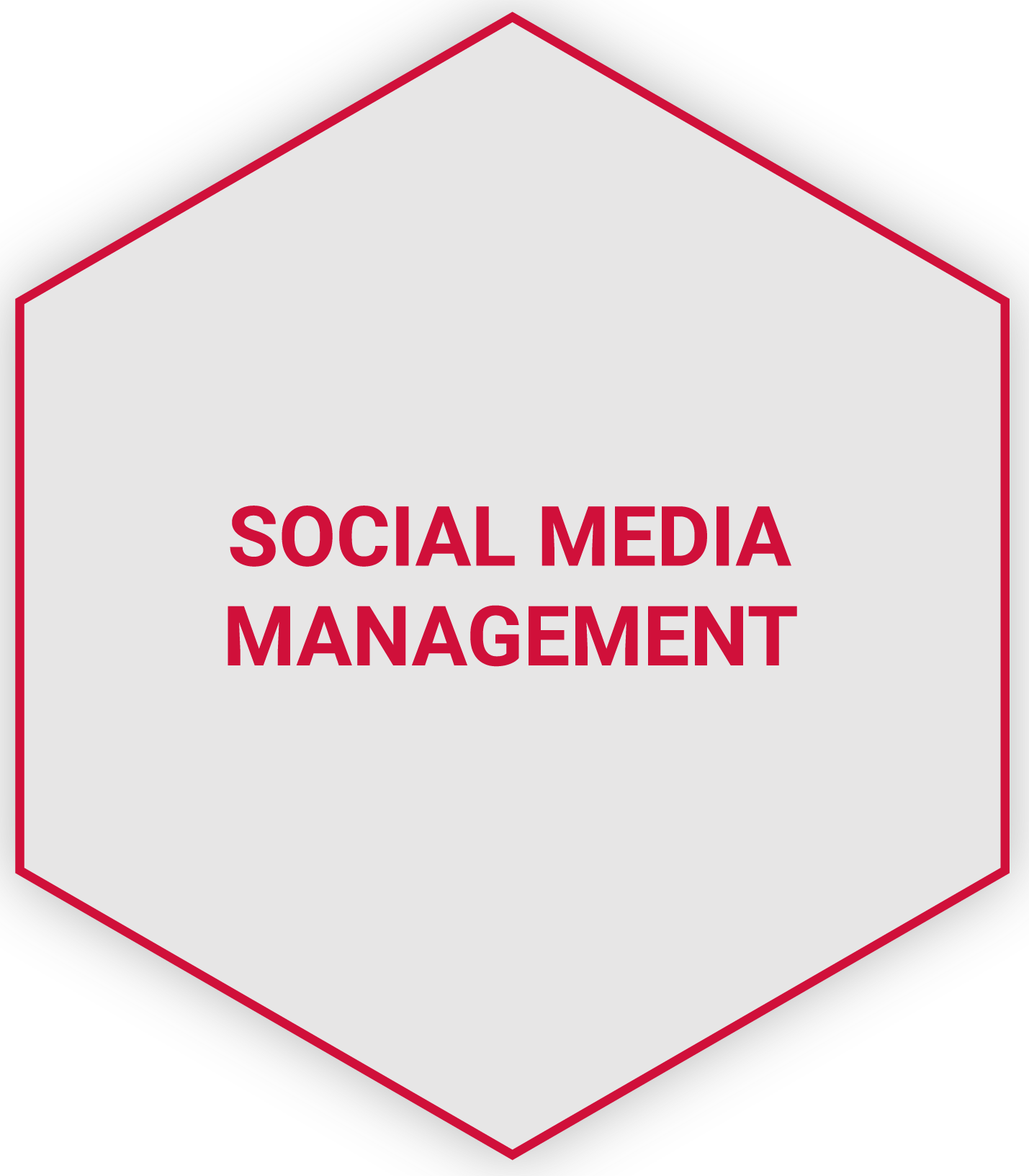 Social Media Management