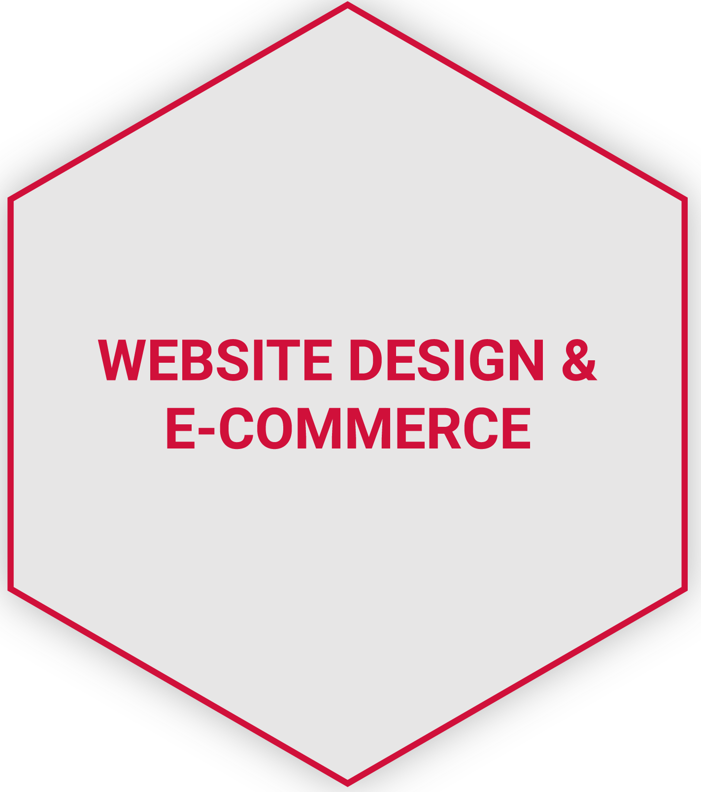 Websie Design & E-Commerce